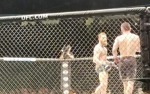 Connor McGregor UFC 229
