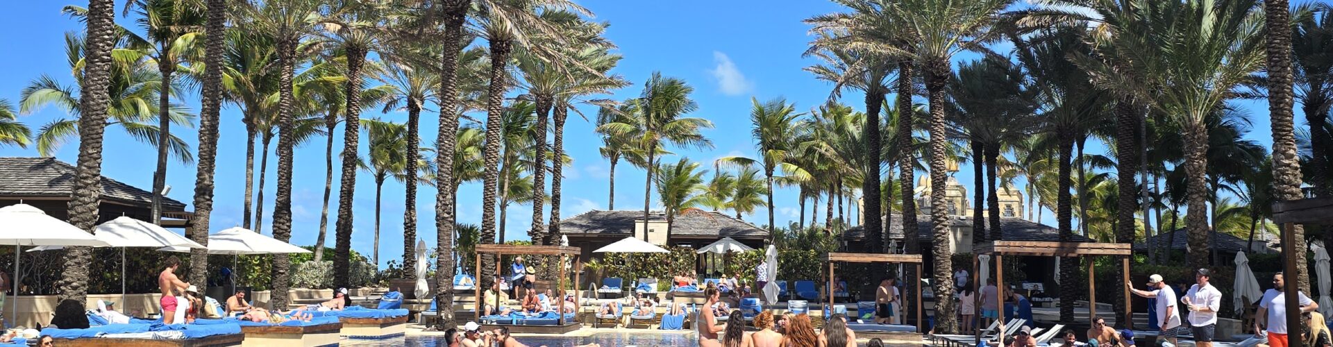 One Meal Per day to look and feel great at the pool this summer