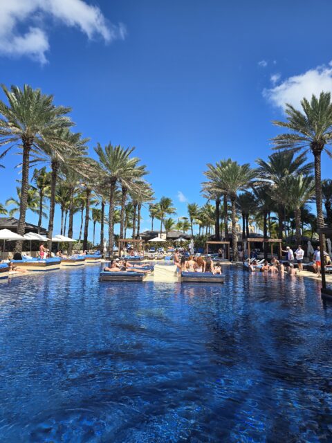 One Meal Per day to look and feel great at the pool this summer